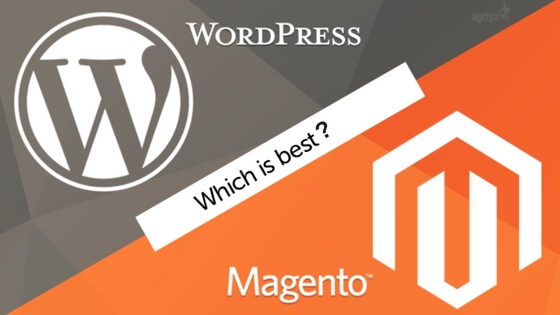Comparative Analysis WordPress vs Magento for eCommerce Business